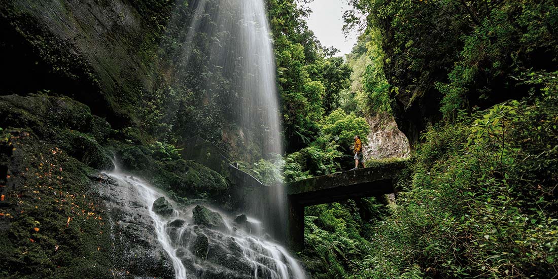 A waterfall surrounded by lush greenery, Los Tilos forest, La Palma